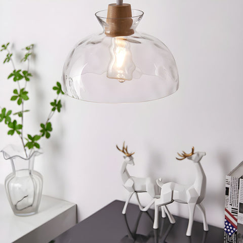 Pendant Light with Clear Glass Shade