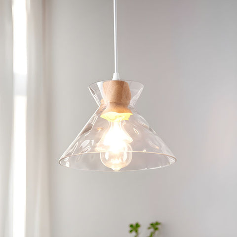 Pendant Light with Clear Glass Shade