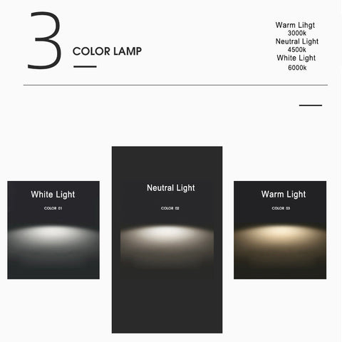 Circular LED Flush Mount Ceiling Light with Ring Design