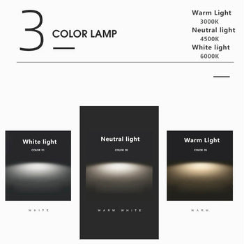 Modern Nordic LED Ceiling Light with Adjustable Color Temperature