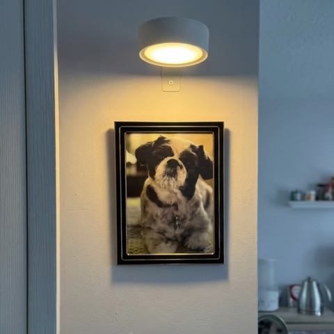 Magnetic Picture Lights with Remote and Adjustable Color Modes