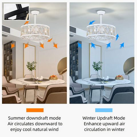 Cage Ceiling Fan with Light and Remote Control