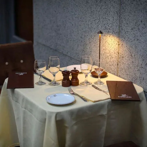 Cordless LED Table Lamp with Touch Dimming