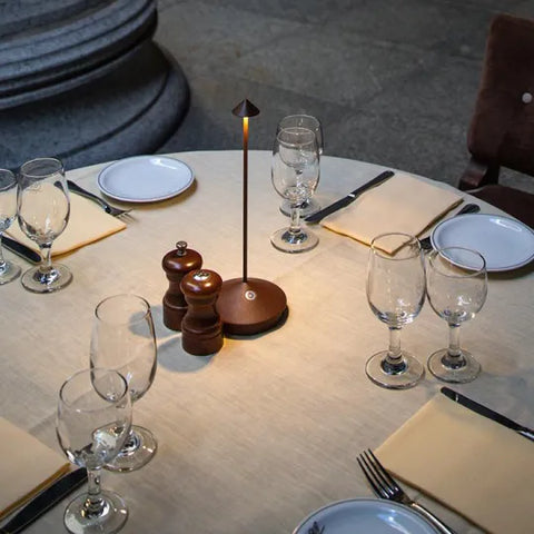Cordless LED Table Lamp with Touch Dimming