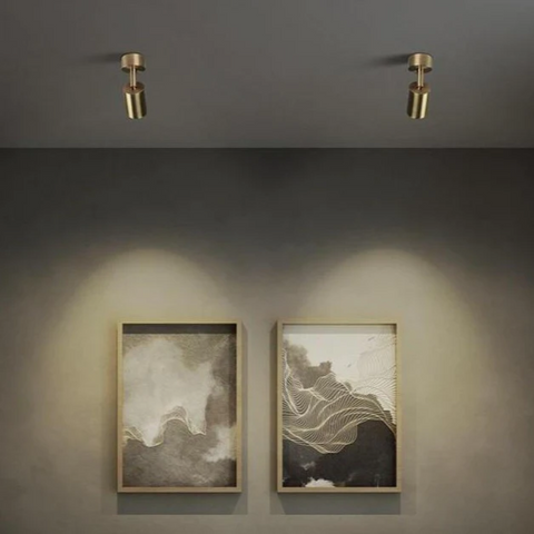 LED Ceiling Spotlight with Adjustable Head and Plated Metal Finish