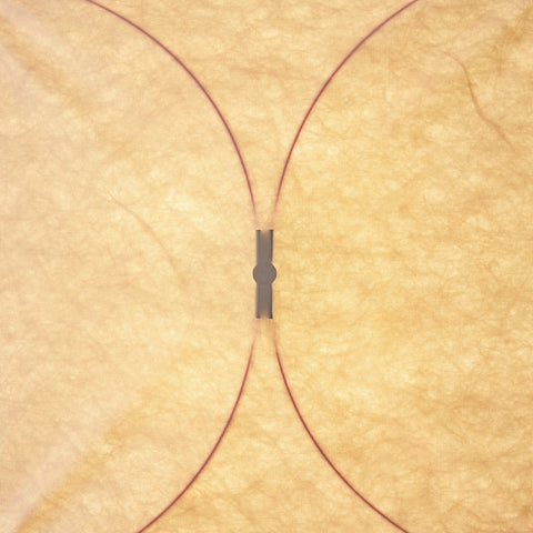 Japanese Paper Wall and Ceiling Light with Soft Diffusion