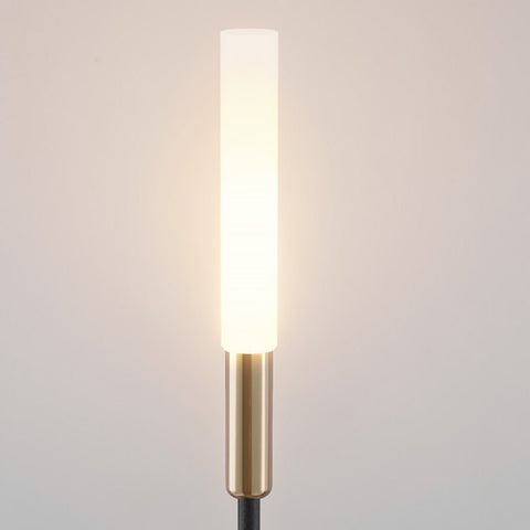 Slim Solar Garden Stake Lights for Pathway Accents