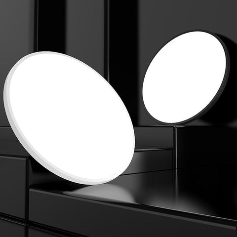 Ceiling Light with Flush Mount LED Design
