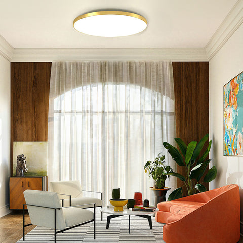 Ceiling Light with Flush Mount LED Design