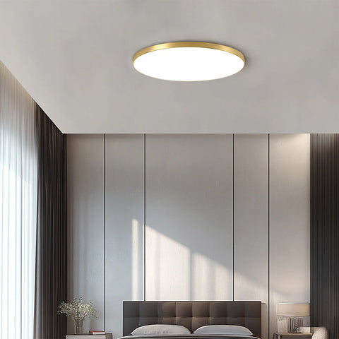Ceiling Light with Flush Mount LED Design