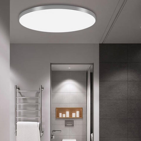 Ceiling Light with Flush Mount LED Design
