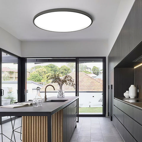 Ceiling Light with Flush Mount LED Design