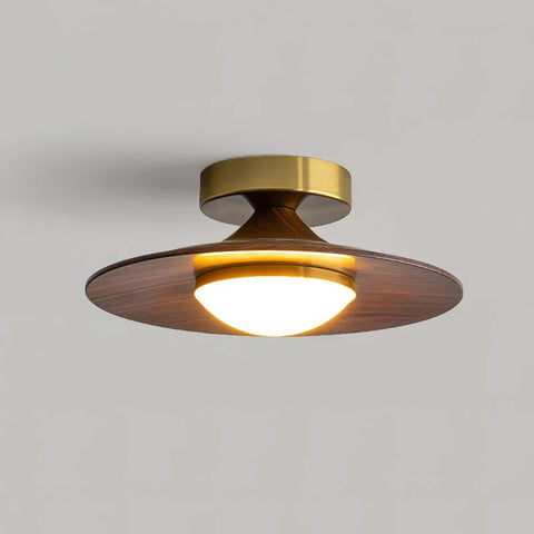 Round Metal LED Ceiling Light