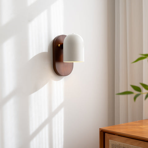 Wall Light with Dome Shade, Wood Backplate, and Brass Accent