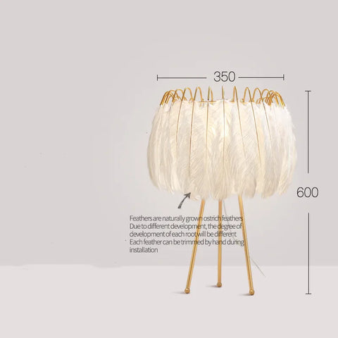 Feather Chandelier with Feathered Shade in Iron and Feathers