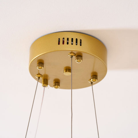 Sea Chandelier with Illuminated Leaf and Scallop Design