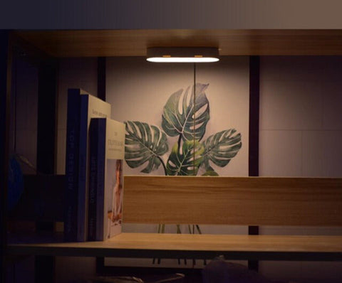 Rechargeable USB Wall Light with Motion Activation