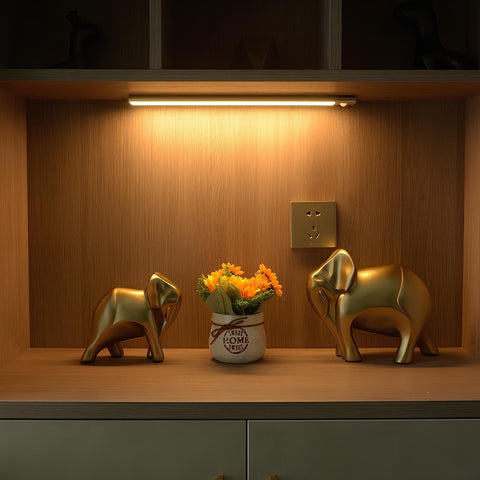 Motion Sensor Cabinet Light with Magnetic USB-C Charging